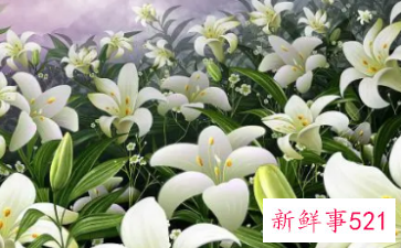 什么东西补水效果好