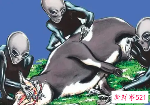 屠牛事件，牛群遭到外星人袭击？