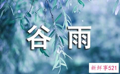 适合谷雨清热祛湿的养生汤