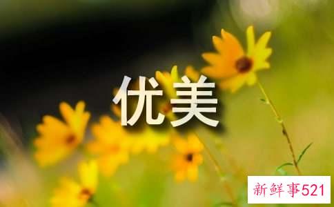 经典优美语录