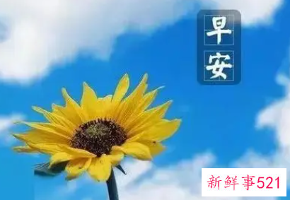 早安致自己经典短句