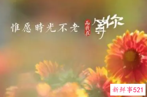 愿时光不老相遇最好的自己
