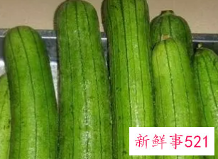 新鲜丝瓜水的功效与作用