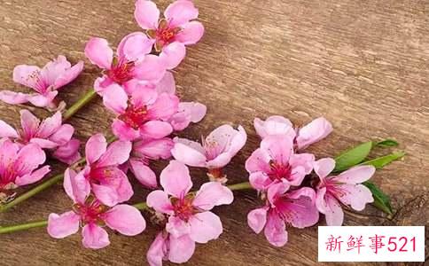 老公出轨了怎么斩男人桃花挽回老公的心