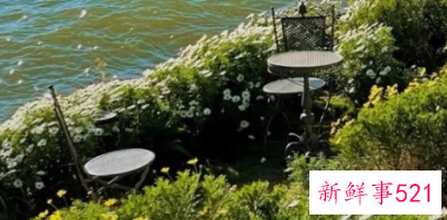 白羊座分手后