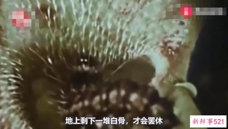 没有事实全靠胡编乱造这本世界未解之谜竟火了40年