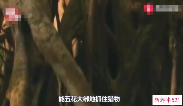 没有事实全靠胡编乱造这本世界未解之谜竟火了40年