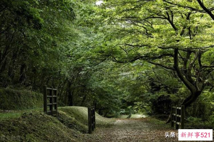 农村走夜路灵异事件，灵异险境