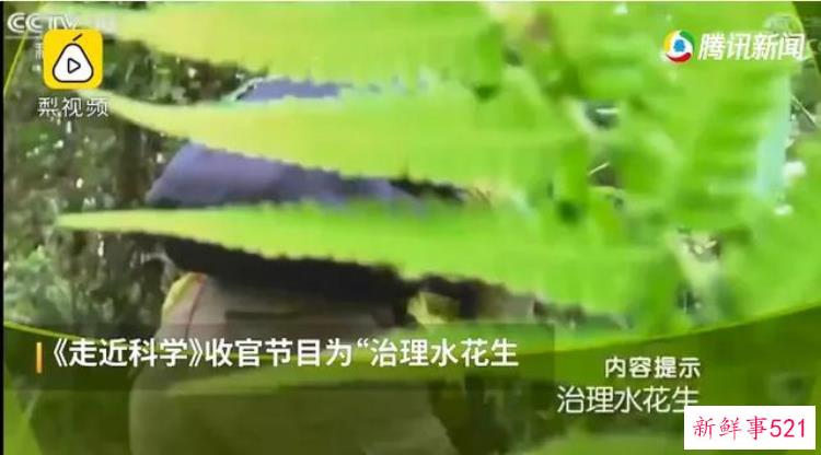 没有事实全靠胡编乱造这本世界未解之谜竟火了40年