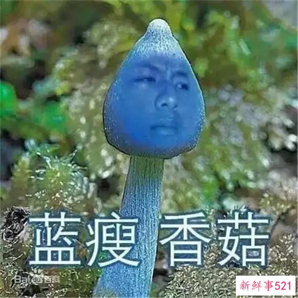 3430.jpg