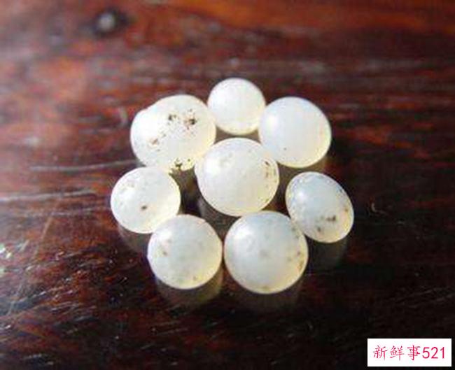腰窝是什么样子的？腰部后面的天然凹窝(遗传因素)