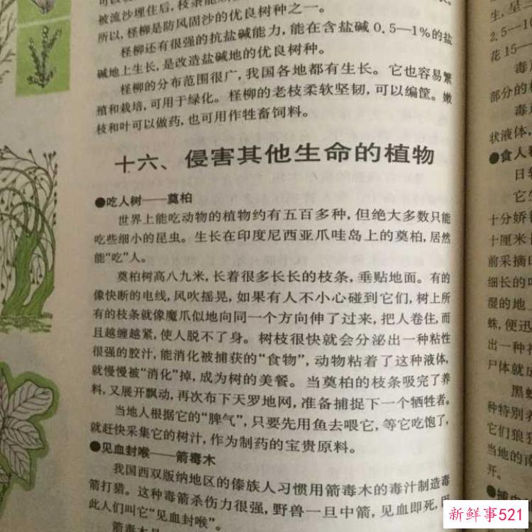 有哪些曾经的世界未解之谜被证明是骗局？,酥咔骗局之谜