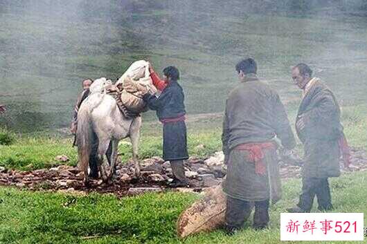 郭靖和黄蓉什么时候死的(郭靖黄蓉之死在哪部电视剧)