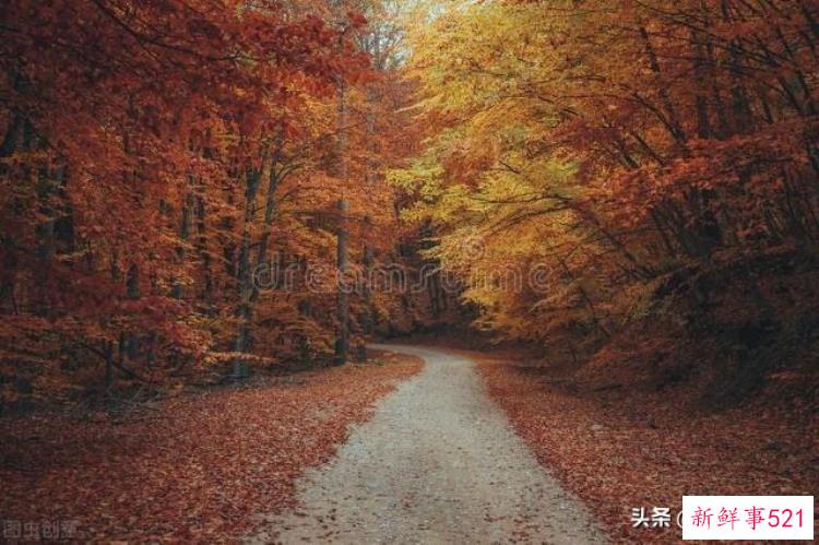 农村走夜路灵异事件，灵异险境