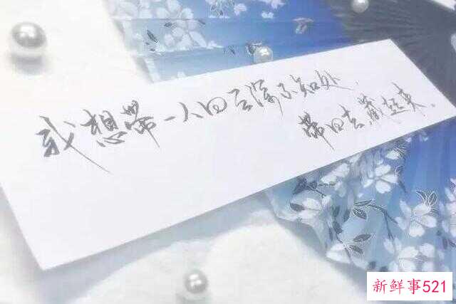 魔道祖师蓝思追为什么叫这个名字(魔道祖师真人讲解)