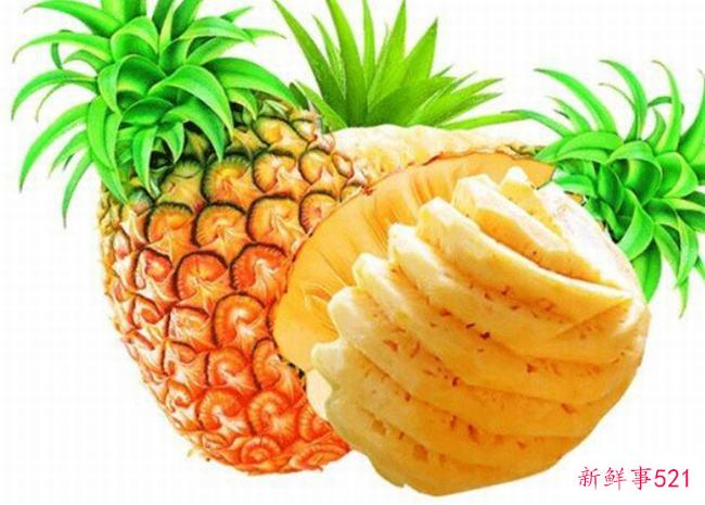 菠萝是菠萝吗？菠萝为什么比菠萝贵很多？