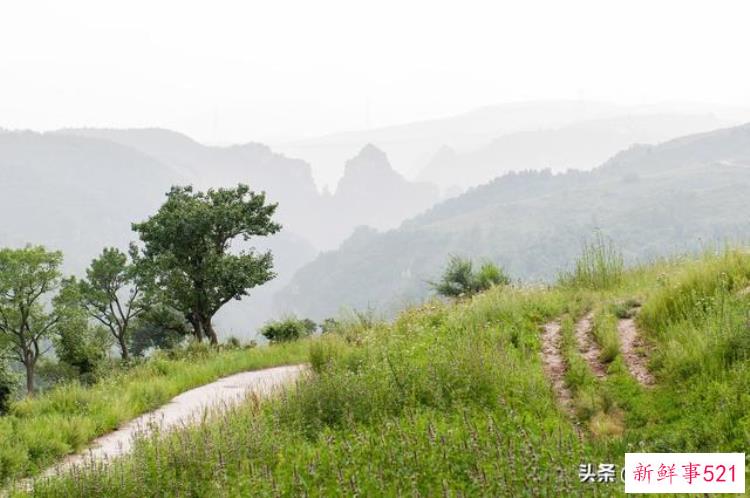 农村走夜路灵异事件，灵异险境
