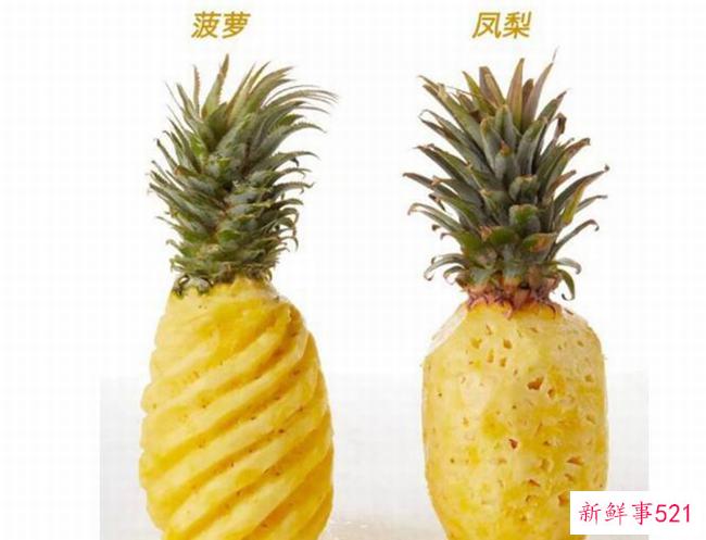 菠萝是菠萝吗？菠萝为什么比菠萝贵很多？