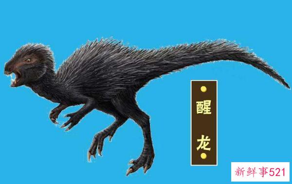 觉醒龙-小型非洲杂食性恐龙(1.2米长-2亿年前)