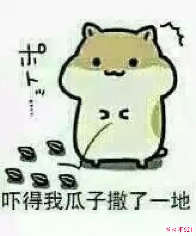 a166682722a08bd9fe0c1916bff819c6.jpg
