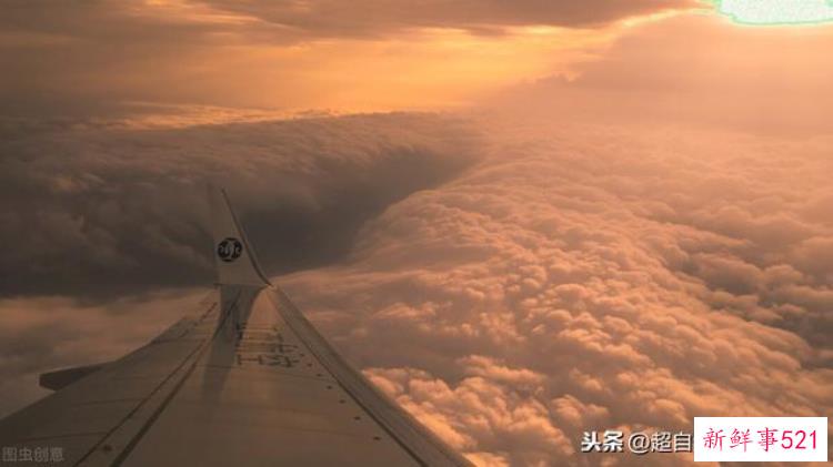 f86abe820b624545cd2194c2682efedd.jpg