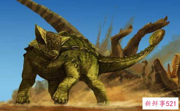 厚鼻龙(pachyrhinosaurus)-北美洲的一种大型食草恐龙(7米长-6800万年前)