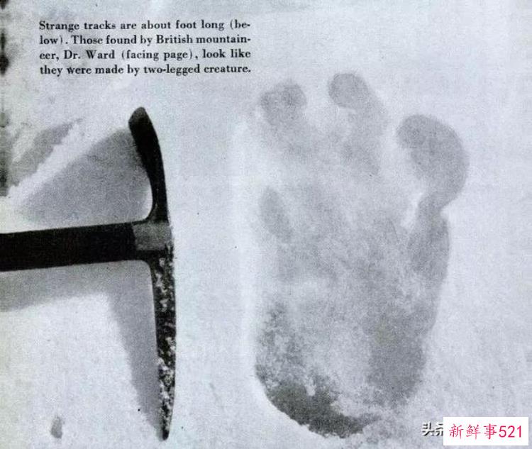 十大未解之谜百慕大三角，苏联十大怪异事件