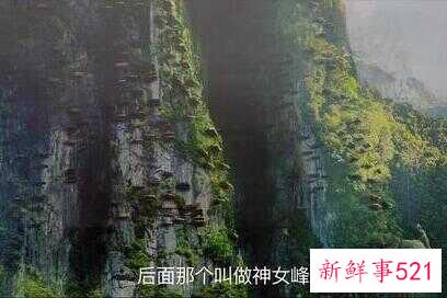 鬼吹灯里的盗墓知识都靠谱吗(为什么盗墓笔记比鬼吹灯出名)