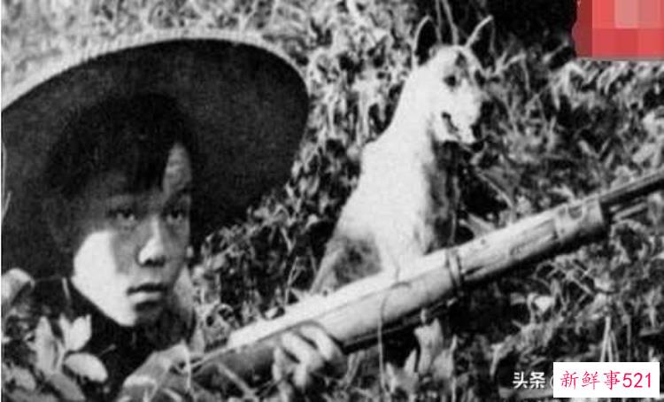 湖南老虎围攻村子事件，历史上人虎大战