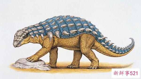 厚鼻龙(pachyrhinosaurus)-北美洲的一种大型食草恐龙(7米长-6800万年前)
