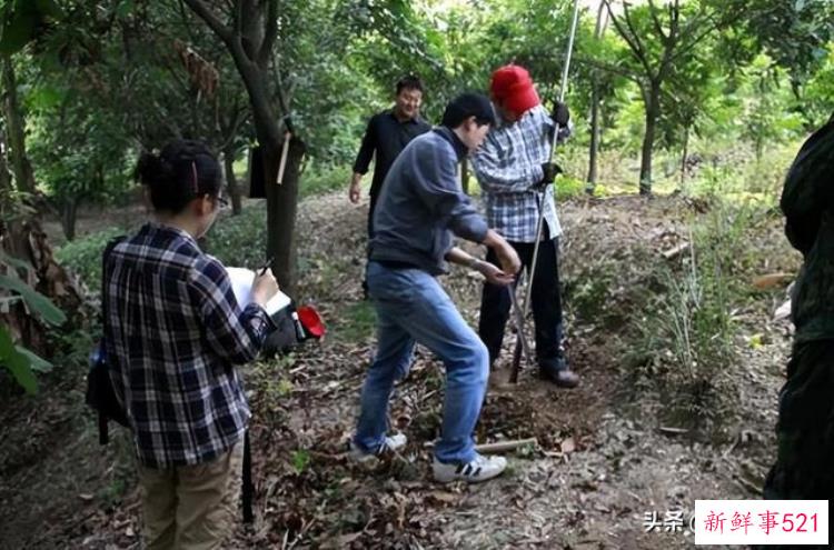 福建历史遗址，福建有什么考古发现