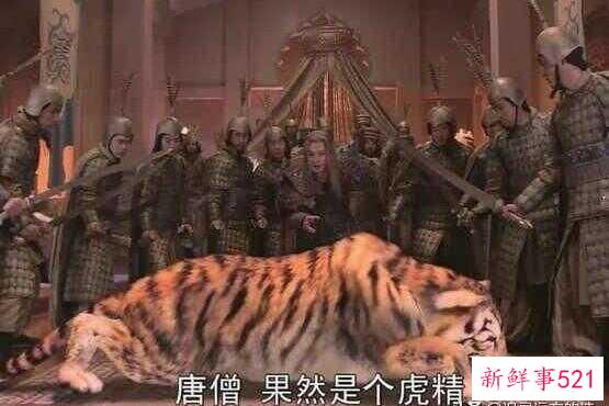 黄袍怪为什么把唐僧变成老虎(黄袍怪孙悟空去哪里了)