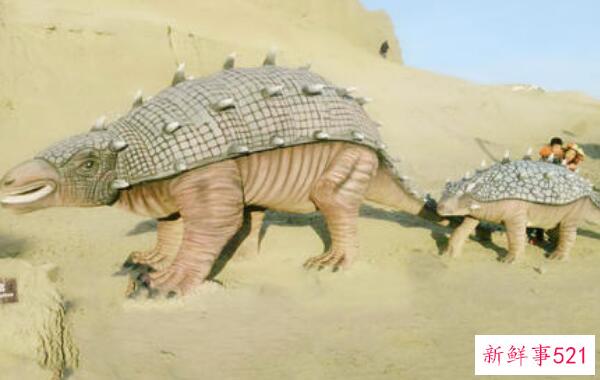 厚鼻龙(pachyrhinosaurus)-北美洲的一种大型食草恐龙(7米长-6800万年前)