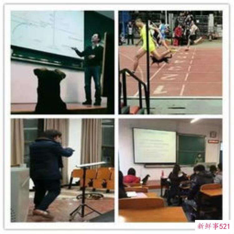 令人难忘的校运会，恐怖的校园传说