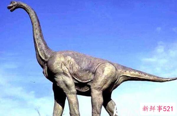 Rebazislon-西班牙巨型食草恐龙(20米长-6500万年前)