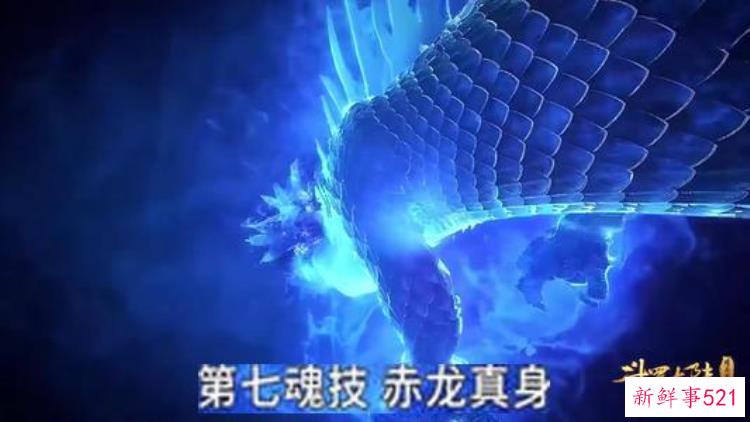 斗罗大陆三大未解之谜没有十年脑血栓钻不了这样的牛角尖