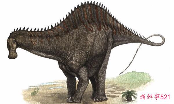 Rebazislon-西班牙巨型食草恐龙(20米长-6500万年前)