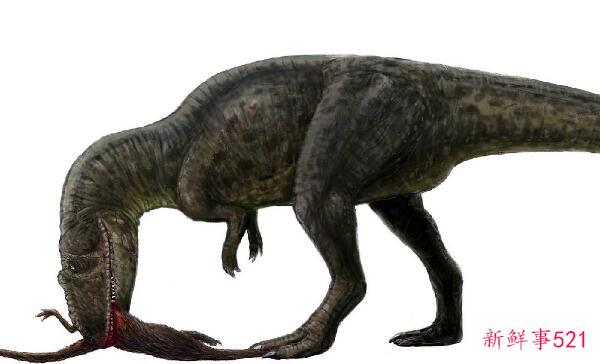 Pseudosauropteryx-中国的一种大型恐龙(7米长-以其他恐龙为食)