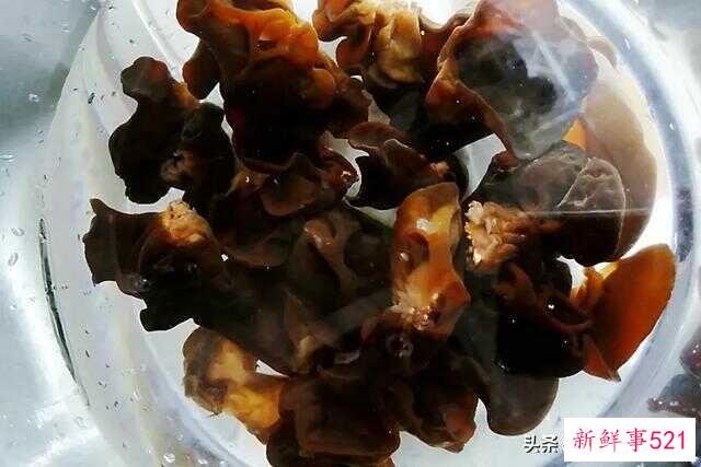鱼香肉丝是什么菜系的(鱼香肉丝是什么菜系的代表)