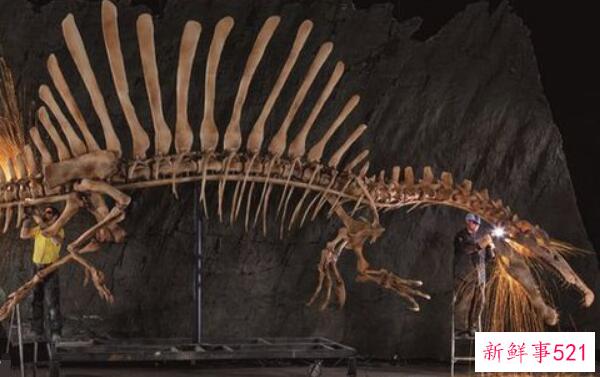 Pseudosauropteryx-中国的一种大型恐龙(7米长-以其他恐龙为食)