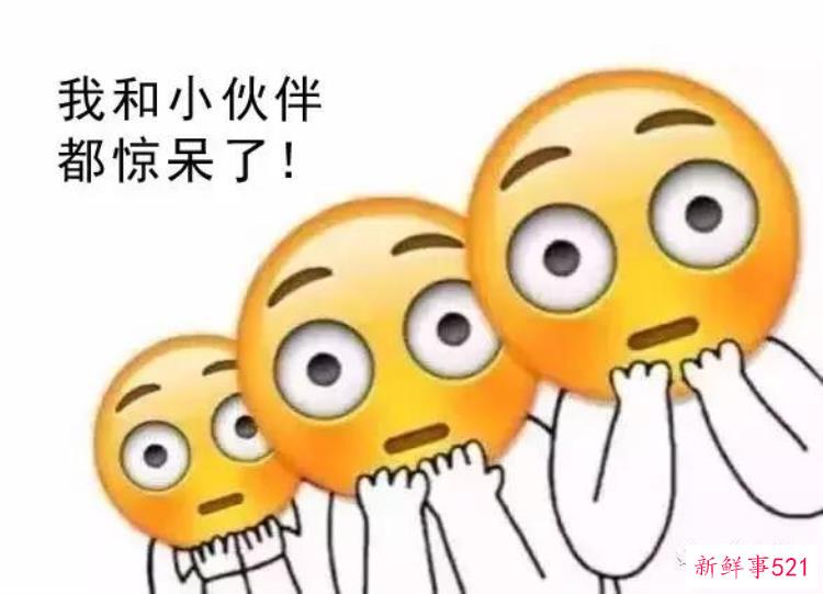3fc4af5b79e19b4ff77f90d139fe662e.jpg