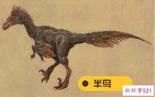 半鸟-阿根廷小型食肉恐龙(2.2m长-8000万年前)
