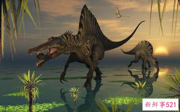Pseudosauropteryx-中国的一种大型恐龙(7米长-以其他恐龙为食)