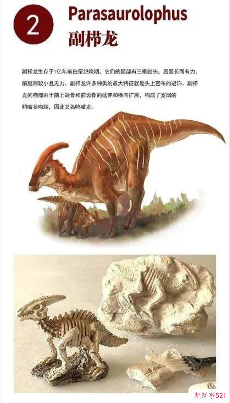 考古恐龙化石，恐龙化石古董