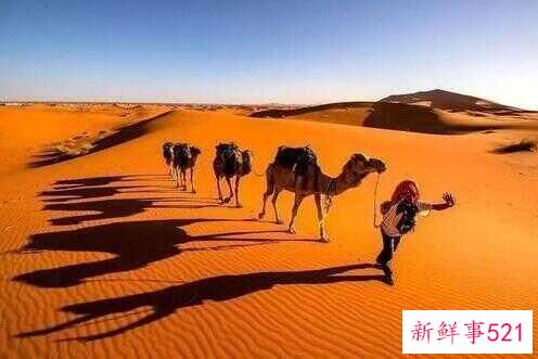 阿拉伯文明为什么衰落(几个史前文明怎么消失的)