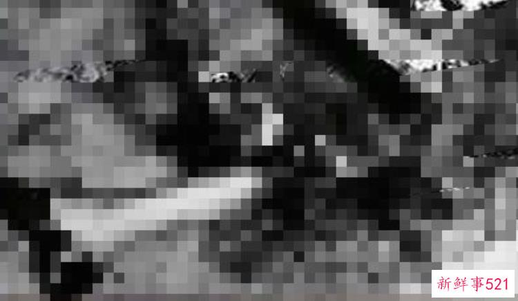 8fd885af805b478318a5cd0adfc19a0d.jpg