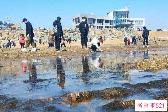锦州有什么好玩的旅游地方(锦州有什么好玩的地方)