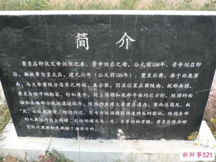 17d83cfa53d2575a22e45bef5e31d7cc.jpg
