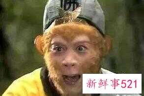西游记唐僧西天取经路程多远(唐僧西天取经路程多远)