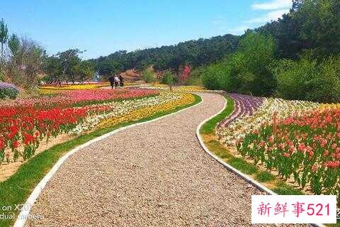 锦州有什么好玩的旅游地方(锦州有什么好玩的地方)